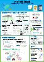 サムネイル：沙川研究室ポスター