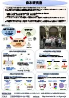 サムネイル：森本研究室ポスター