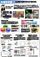 サムネイル：高橋研究室ポスター