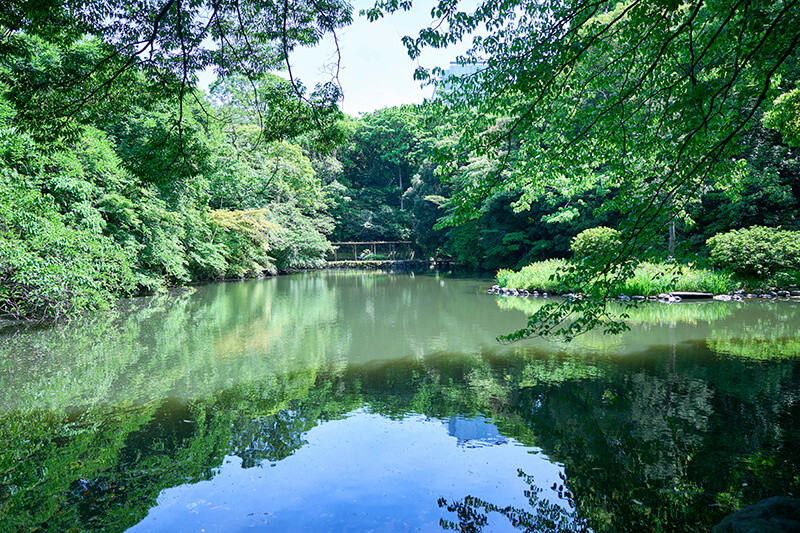 photo:Department of Applied Physics,School of Engineering,The University of Tokyo