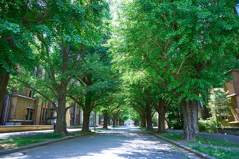 photo:Department of Applied Physics,School of Engineering,The University of Tokyo