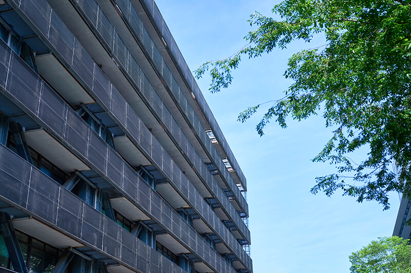 photo:Department of Applied Physics,School of Engineering,The University of Tokyo